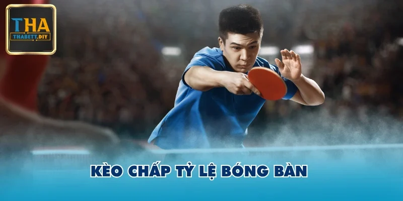 Kèo chấp tỷ lệ bóng bàn 